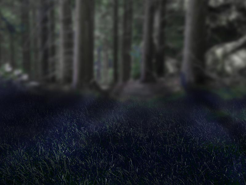 Schritt 1 im Märchenwald Composing