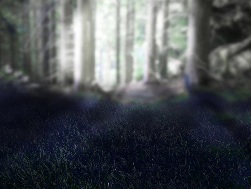 Schritt 2 im Märchenwald Composing