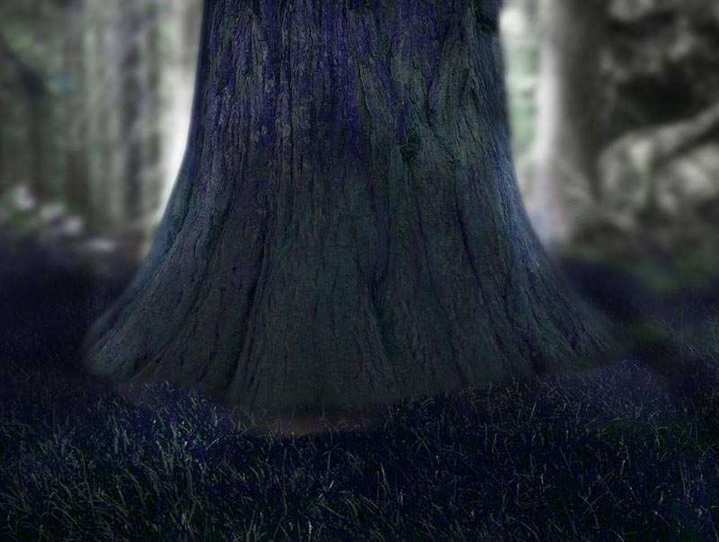 Schritt 3 im Märchenwald Composing