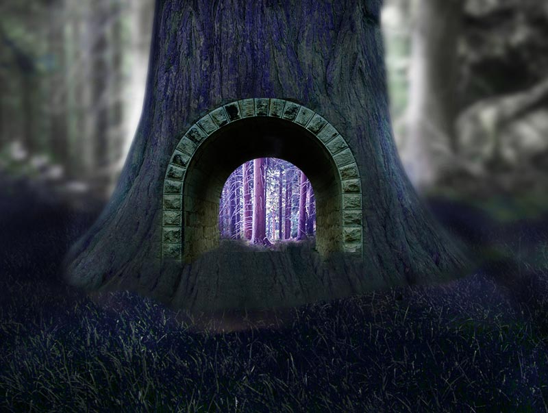 Schritt 4 im Märchenwald Composing