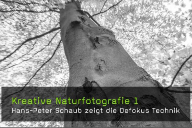 FotoTV.de - Kreative Naturfotografie