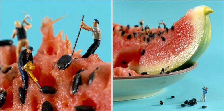 Les &eacute;p&eacute;pineurs