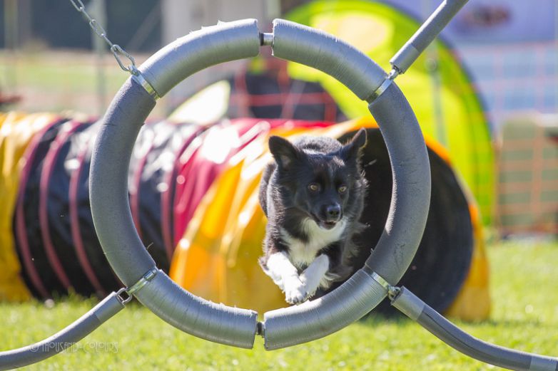 3. Gohrisch-Heide-Cup