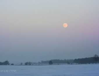 Naturfotografie im Winter